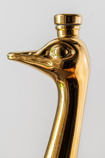 Golden Ostrich head profile